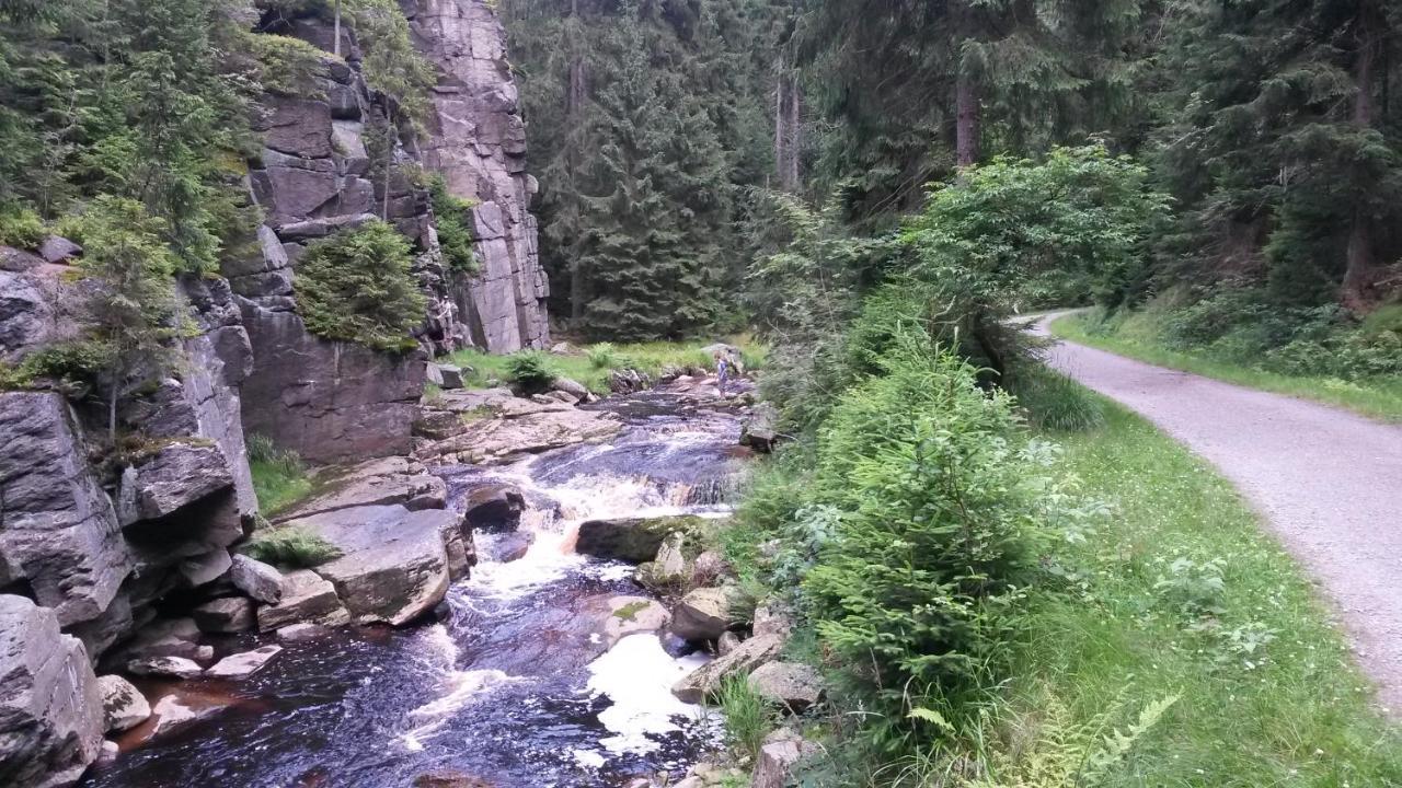 Ferienwohnung Arzgebirg Grunhainichen Exterior foto